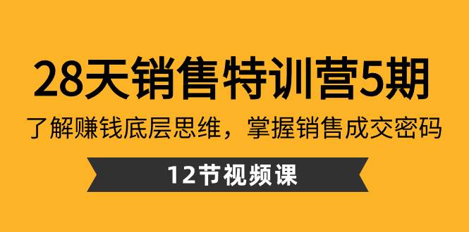 28天·销售特训营5期：了解赚钱底层思维，掌握销售成交密码（12节课）-西瓜网创