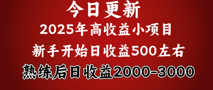 好项目一眼就能看出来，日收益1000，长久可做，2025拼的就是我比你勤奋-西瓜网创