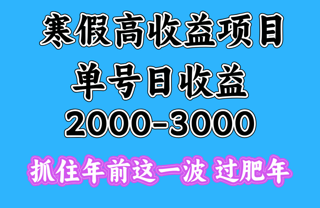 寒假期间一天收益2000-3000+，抓住年前这一波-西瓜网创