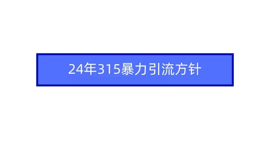 2024年315暴力引流方针-西瓜网创