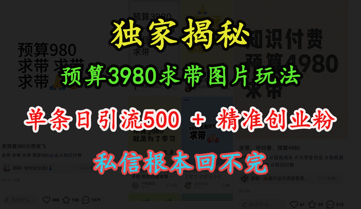 “小红书”预算3980求带 图片玩法，单条日引流500+精准创业粉，私信根本回不完-西瓜网创