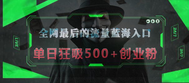 全网最后的流量蓝海入口，半小时引流50+创业粉，单日狂吸500+创业粉-西瓜网创