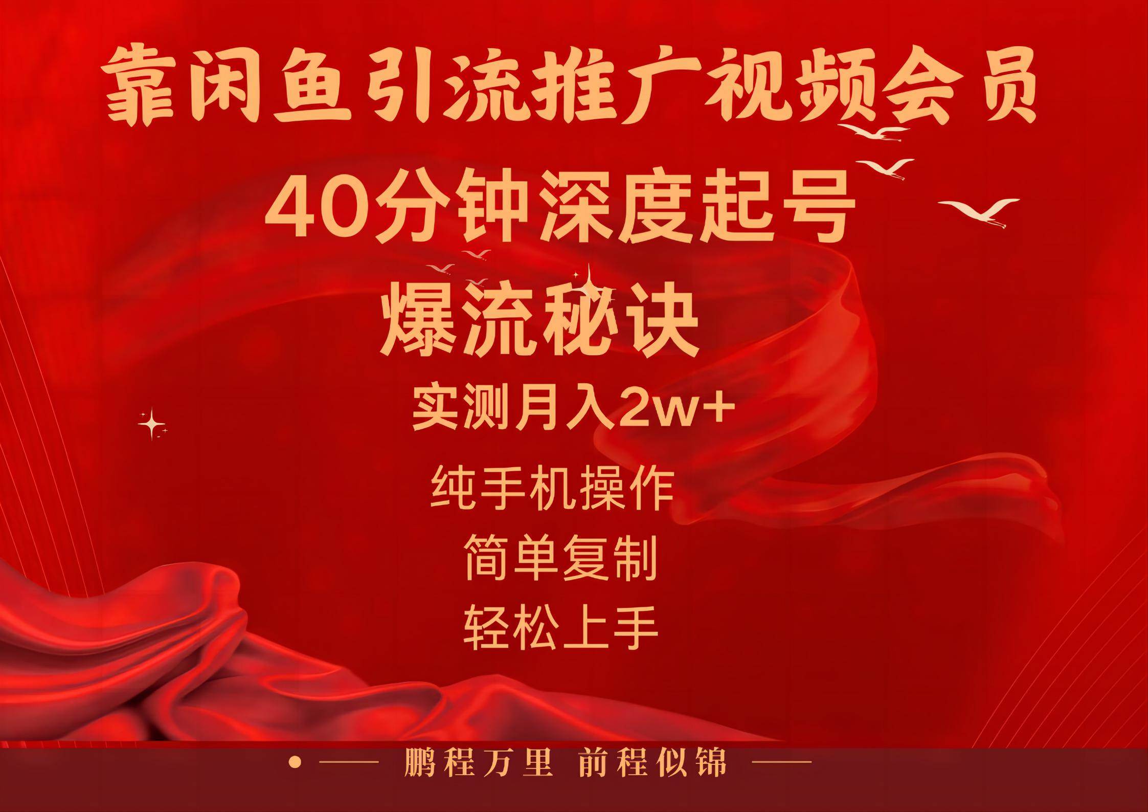 闲鱼暴力引流推广视频会员，能做到日入2W+，操作简单-西瓜网创