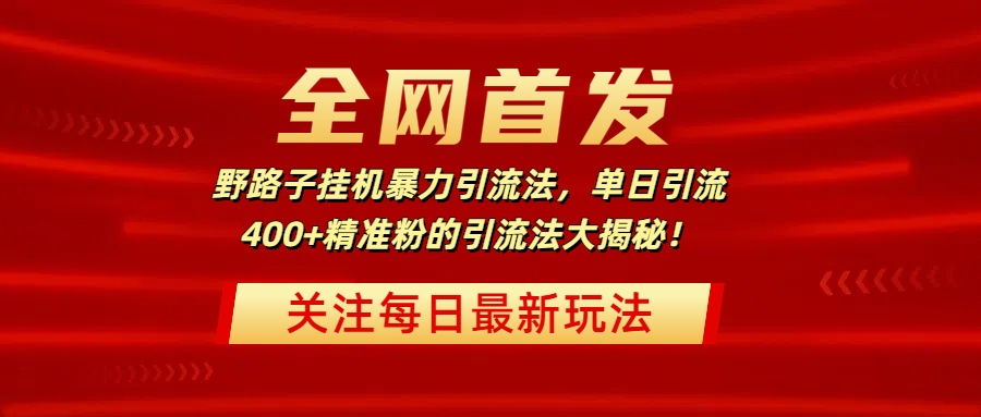 全网首发，野路子挂机暴力引流法，单日引流400+精准粉的引流法大揭秘！-西瓜网创