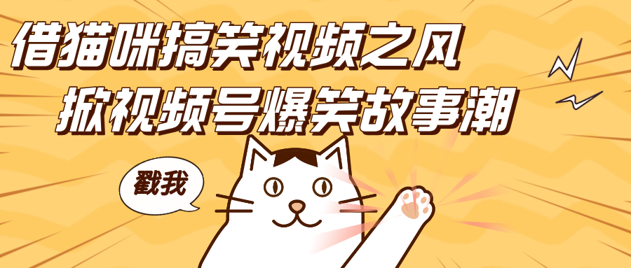 借猫咪搞笑视频之风，掀视频号爆笑故事潮，轻松日赚四位数，开启无门槛赚钱新体验！-西瓜网创