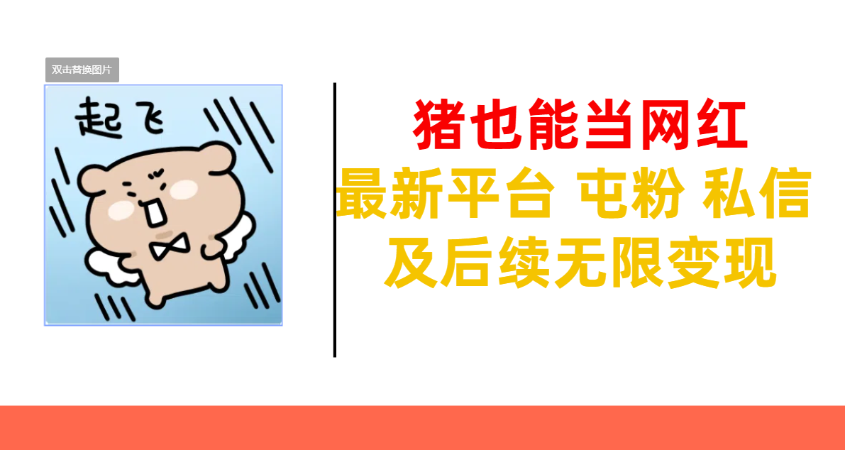 猪也能当网红-最新平台 屯粉 交流 私信 及后续无限变现-西瓜网创