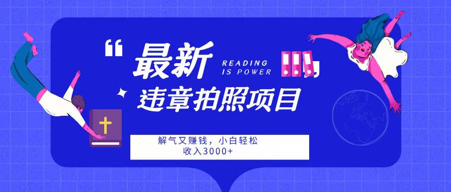 最新违章拍照项目，解气又赚钱，随手一拍，轻松收入3000-西瓜网创
