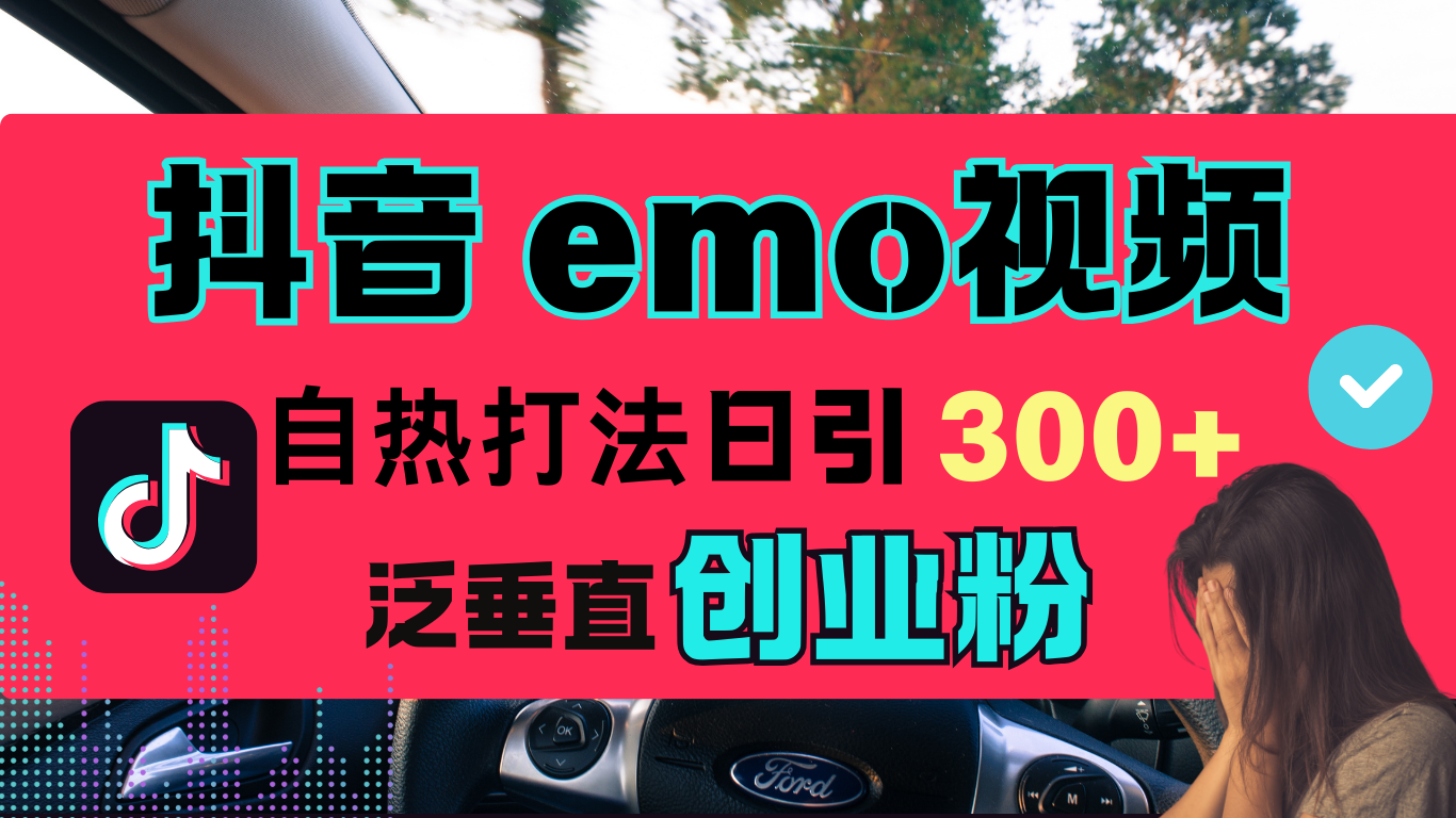 抖音“EMO视频”自热流打法，日引300+泛垂直创业粉-西瓜网创