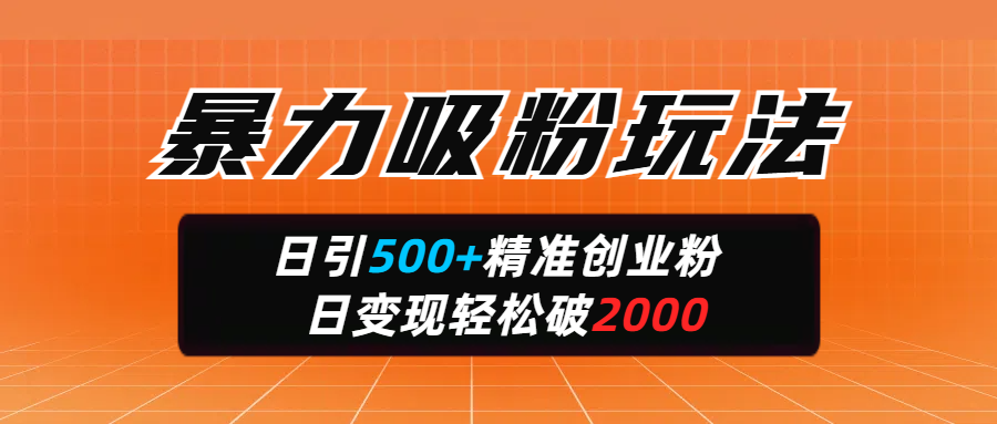 暴力吸粉玩法，日引500+精准创业粉，日变现轻松破2000-西瓜网创