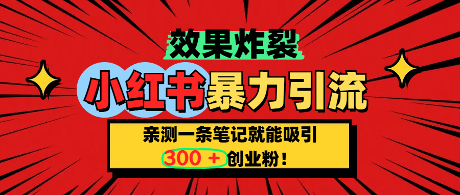 小红书炸裂玩法，亲测一条笔记就能吸引300+精准创业粉！-西瓜网创
