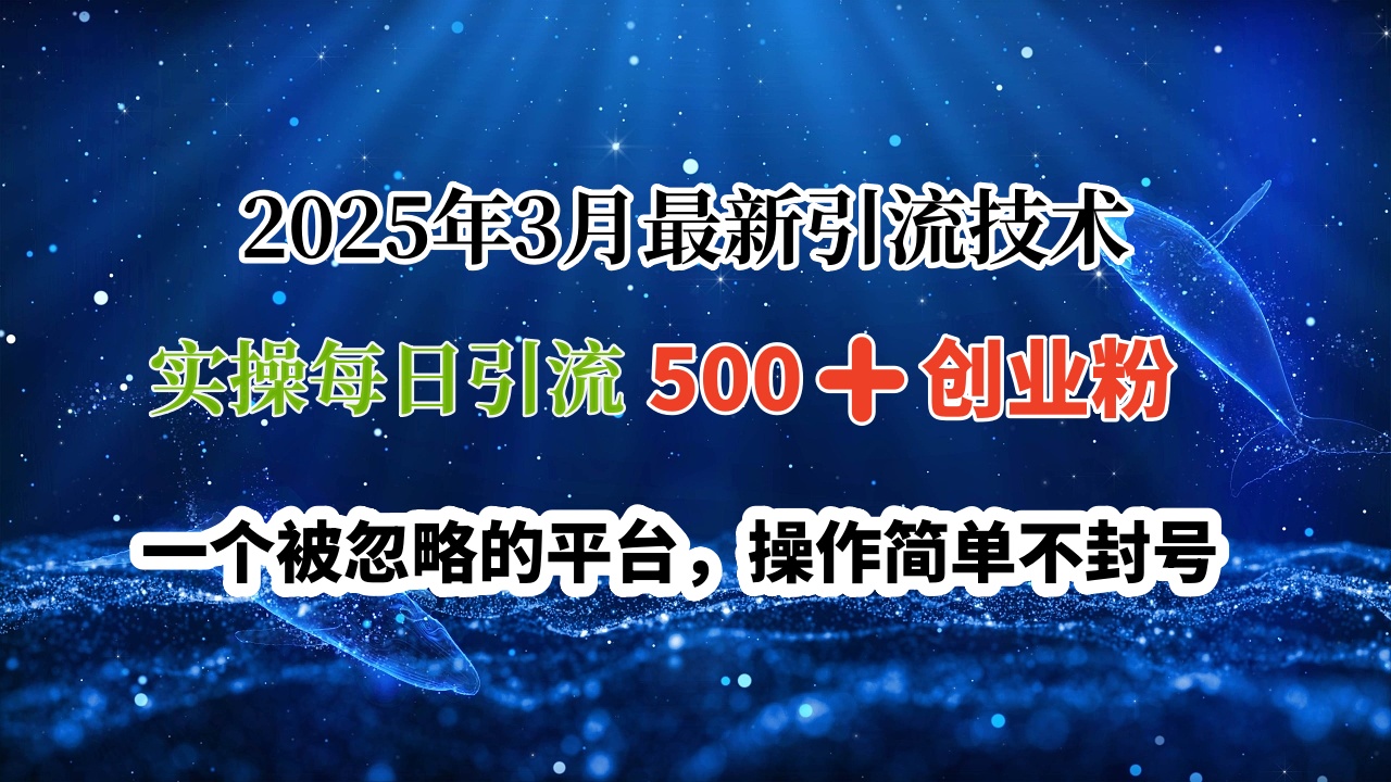 2025年3月最新引流技术，实操每日引流500➕创业粉，一个被忽略的平台，操作简单不封号-西瓜网创
