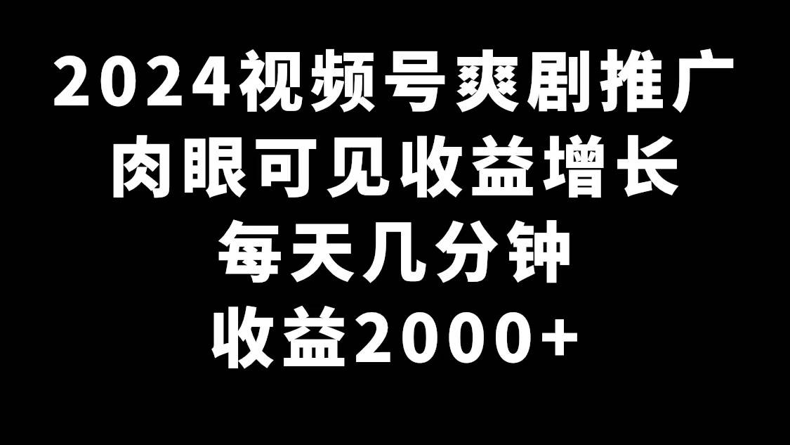 2024视频号爽剧推广，肉眼可见的收益增长，每天几分钟收益2000+-西瓜网创