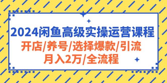 2024闲鱼高级实操运营课程：开店/养号/选择爆款/引流/月入2万/全流程-西瓜网创