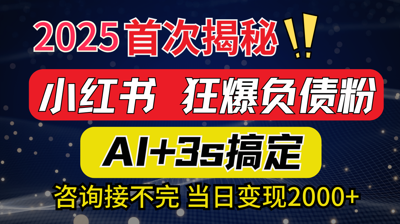 2025引流天花板：最新小红书狂暴负债粉思路，咨询接不断，当日入2000+-西瓜网创