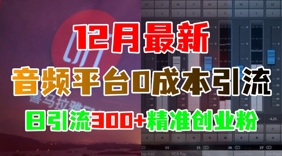 12月最新：音频平台0成本引流，日引300+精准创业粉-西瓜网创