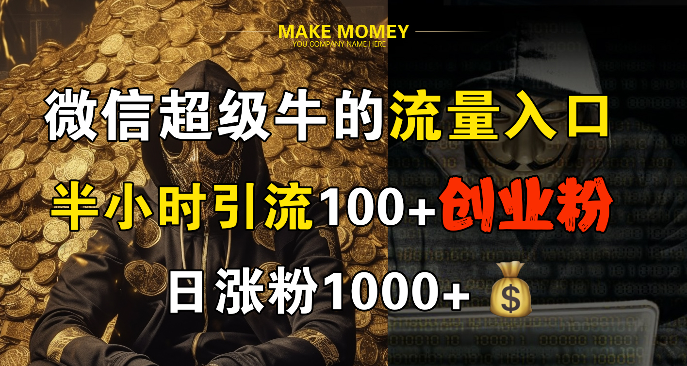 微信超级牛的流量入口，半小时引流100+创业粉，日涨粉1000+-西瓜网创