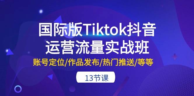 国际版Tiktok抖音运营流量实战班：账号定位/作品发布/热门推送/等等-13节-西瓜网创