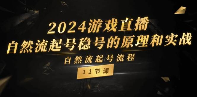 2024游戏直播-自然流起号稳号的原理和实战，自然流起号流程（11节）-西瓜网创