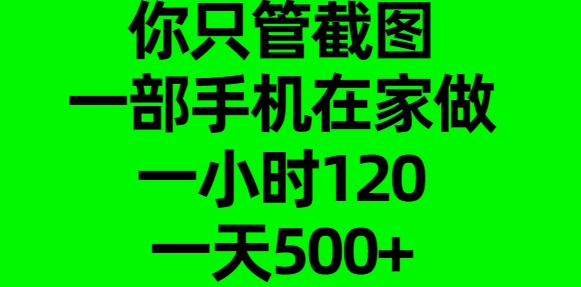你只管截图，一部手机在家做，一小时120，一天500+-西瓜网创