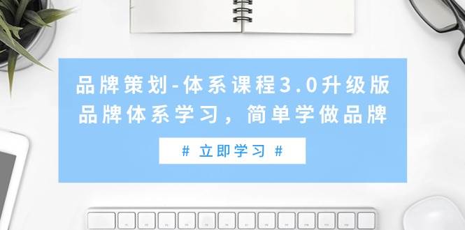 品牌策划-体系课程3.0升级版，品牌体系学习，简单学做品牌（高清无水印）-西瓜网创