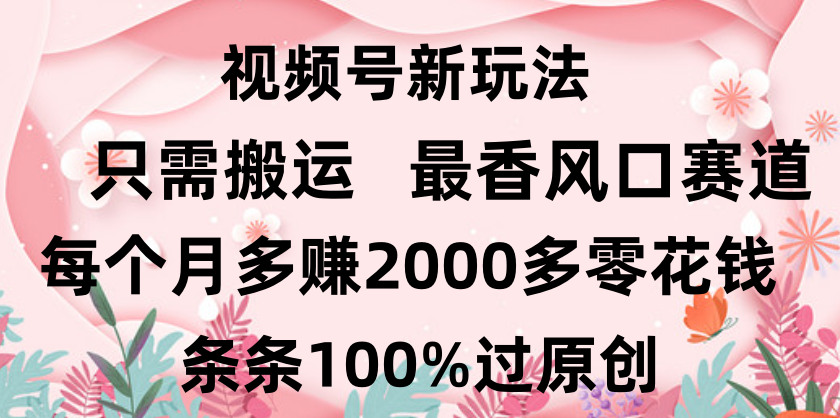 日入2000+，条条100%过原创，视频号最香风口赛道，小白轻松上手-西瓜网创