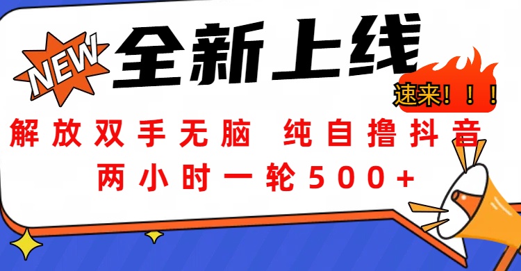 解放双手无脑 纯自撸抖音 两小时一轮500+-西瓜网创