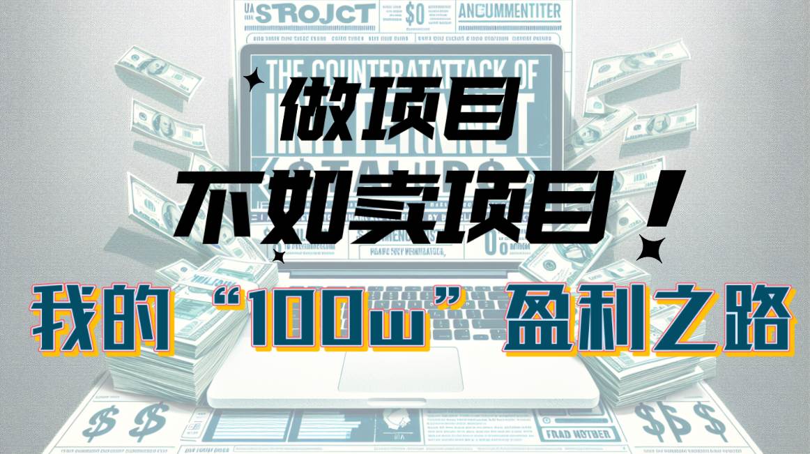 为什么做项目不如卖项目？我的100W+盈利之路-西瓜网创