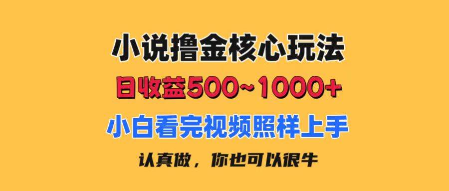 小说撸金核心玩法，日收益500-1000+，小白看完照样上手，0成本有手就行-西瓜网创
