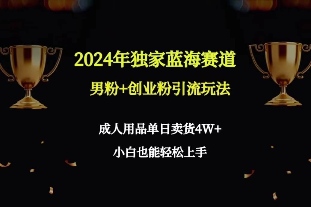 2024年独家蓝海赛道男粉+创业粉引流玩法，成人用品单日卖货4W+保姆教程-西瓜网创