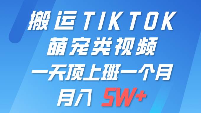 一键搬运TIKTOK萌宠类视频 一部手机即可操作 所有平台均可发布 轻松月入5W+-西瓜网创