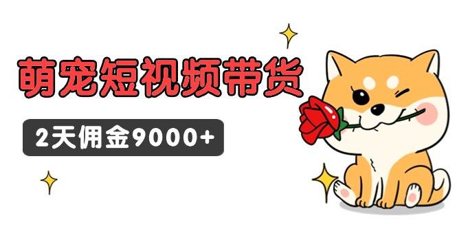 东哲日记·萌宠短视频带货，2天佣金9000+-西瓜网创