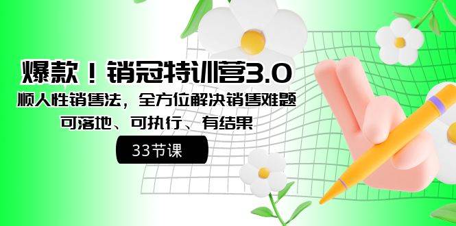 爆款！销冠特训营3.0之顺人性销售法，全方位解决销售难题、可落地、可执行、有结果-西瓜网创