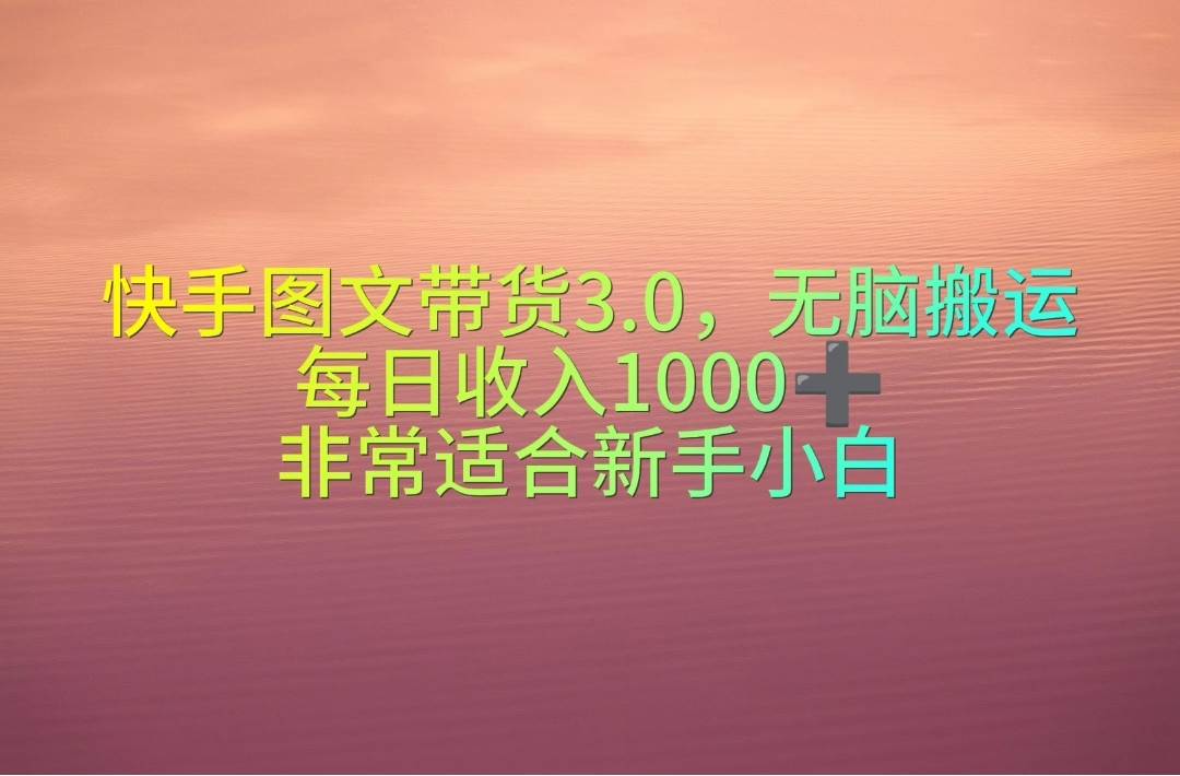 快手图文带货3.0，无脑搬运，每日收入1000＋，非常适合新手小白-西瓜网创