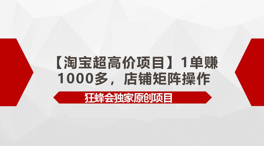 【淘宝超高价项目】1单赚1000多，店铺矩阵操作-西瓜网创
