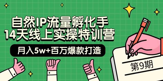 自然IP流量孵化手 14天线上实操特训营【第9期】月入5w+百万爆款打造 (74节)-西瓜网创