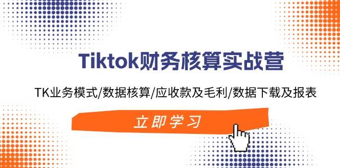 Tiktok财务核算实战营：TK业务模式/数据核算/应收款及毛利/数据下载及报表-西瓜网创