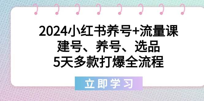 2024小红书养号+流量课：建号、养号、选品，5天多款打爆全流程-西瓜网创