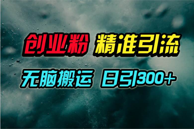 视频号纯搬运日引300+创业粉教程！-西瓜网创