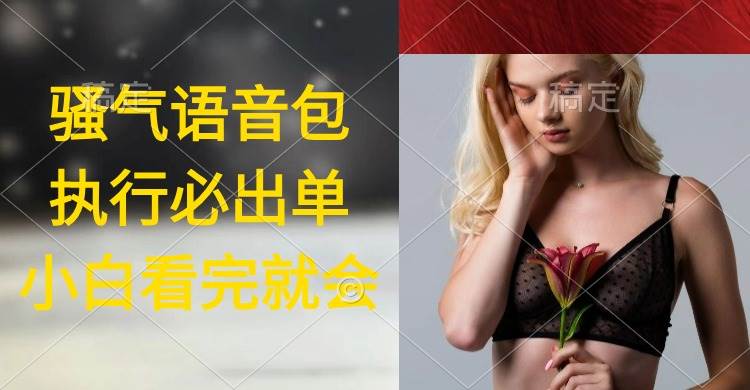 执行就出单，日入2000+，超火骚气语音包，小白看完课程就能马上实操-西瓜网创