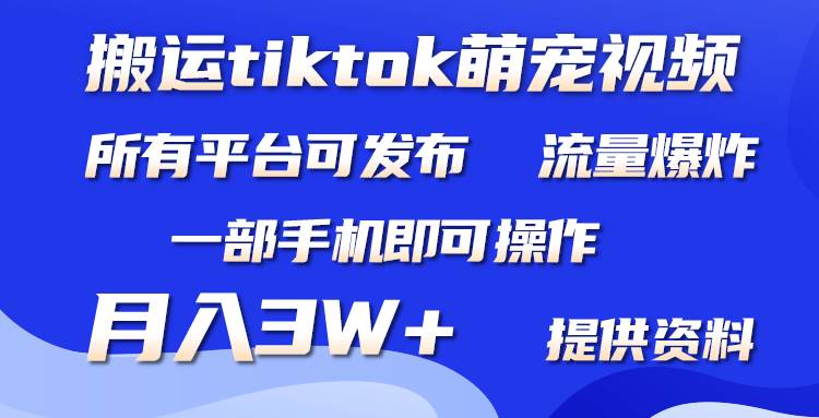 搬运Tiktok萌宠类视频，一部手机即可。所有短视频平台均可操作，月入3W+-西瓜网创
