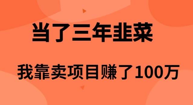 当了3年韭菜，我靠卖项目赚了100万-西瓜网创
