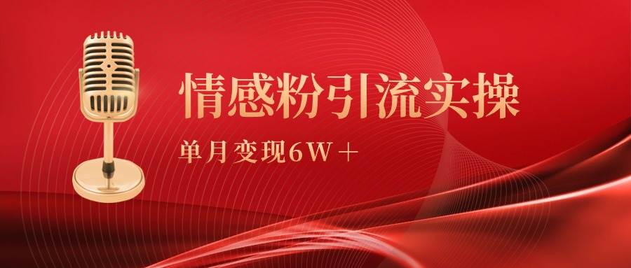 单月变现6w+，情感粉引流变现实操课-西瓜网创