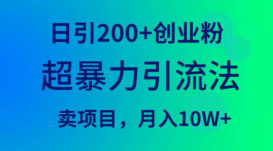 超暴力引流法，日引200+创业粉，卖项目月入10W+-西瓜网创