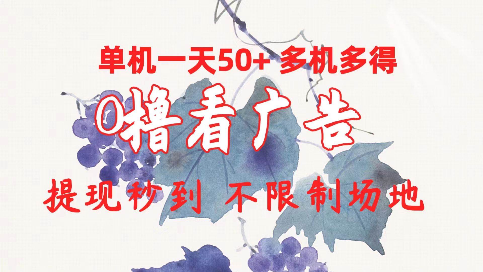 0撸看广告 单机一天50+多机多得 提现秒到 不限制场地操作-西瓜网创