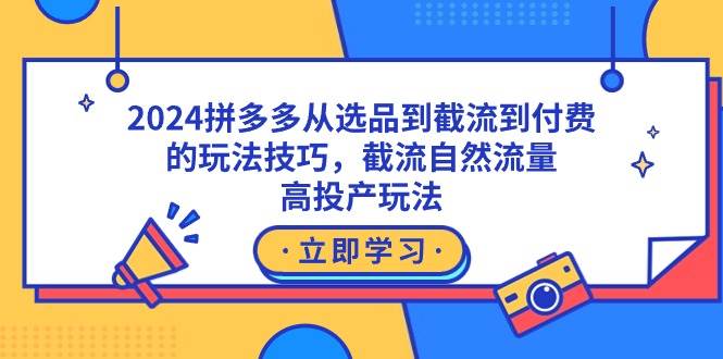 2024拼多多从选品到截流到付费的玩法技巧，截流自然流量玩法，高投产玩法-西瓜网创