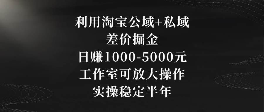 利用淘宝公域+私域差价掘金，日赚1000-5000元，工作室可放大操作，实操…-西瓜网创