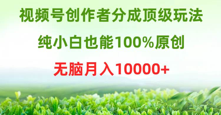 视频号创作者分成顶级玩法，纯小白也能100%原创，无脑月入10000+-西瓜网创
