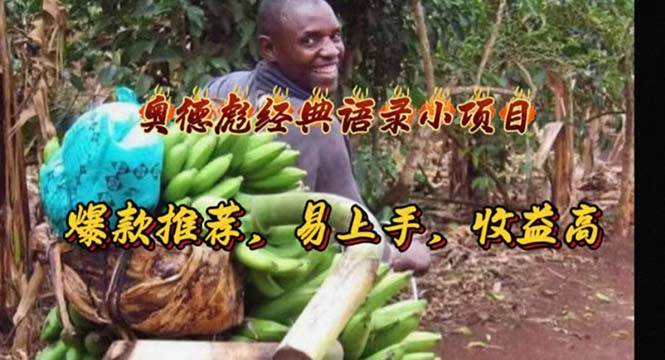 奥德彪经典语录小项目，爆款推荐，易上手，收益高-西瓜网创