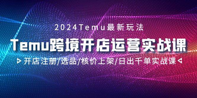 2024Temu跨境开店运营实战课，开店注册/选品/核价上架/日出千单实战课-西瓜网创