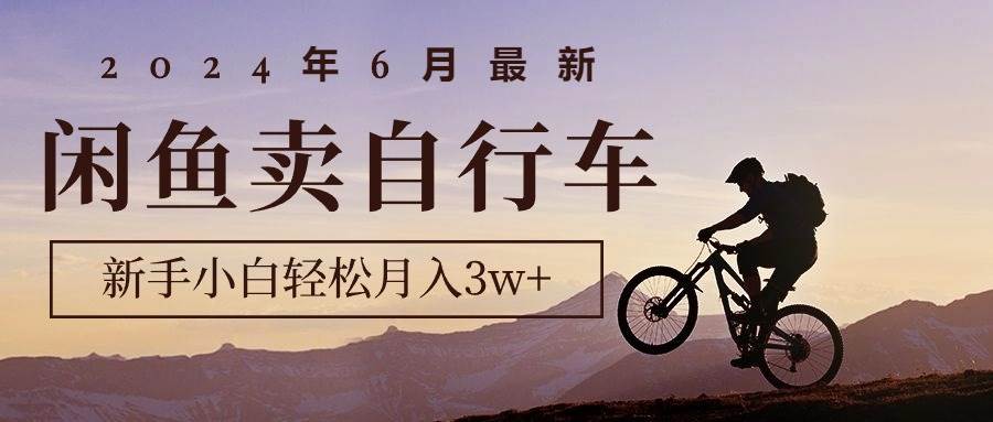 2024年6月最新闲鱼卖自行车，新手小白轻松月入3w+项目-西瓜网创